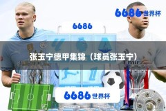 张玉宁德甲集锦（球员张玉宁）