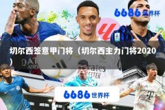 切尔西签意甲门将（切尔西主力门将2020）