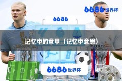 记忆中的意甲（记忆中意思）