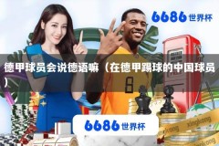 德甲球员会说德语嘛（在德甲踢球的中国球员）
