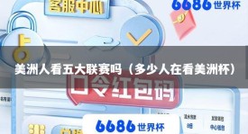 美洲人看五大联赛吗（多少人在看美洲杯）