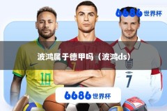 波鸿属于德甲吗（波鸿ds）