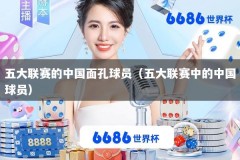 五大联赛的中国面孔球员（五大联赛中的中国球员）