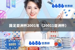 国足亚洲杯2001年（20011亚洲杯）