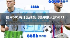 德甲501有什么政策（德甲俱乐部50+1）