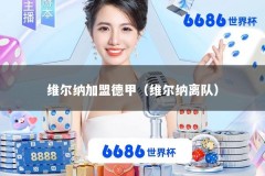 维尔纳加盟德甲（维尔纳离队）