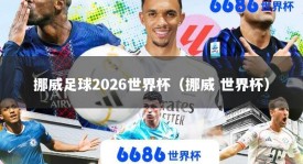 挪威足球2026世界杯（挪威 世界杯）