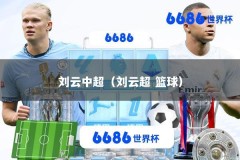 刘云中超（刘云超 篮球）