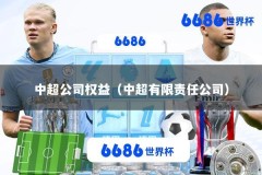 中超公司权益（中超有限责任公司）