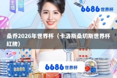 桑乔2026年世界杯（卡洛斯桑切斯世界杯红牌）