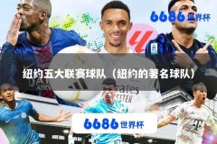 纽约五大联赛球队（纽约的著名球队）