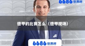 德甲的比赛怎么（德甲现场）