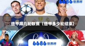 德甲踢几轮联赛（德甲多少轮结束）