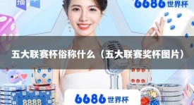 五大联赛杯俗称什么（五大联赛奖杯图片）