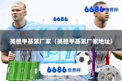 英德甲基苯厂家（英德甲基苯厂家地址）