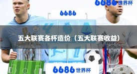 五大联赛各杯造价（五大联赛收益）