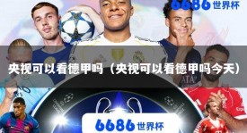 央视可以看德甲吗（央视可以看德甲吗今天）