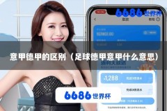 意甲德甲的区别（足球德甲意甲什么意思）