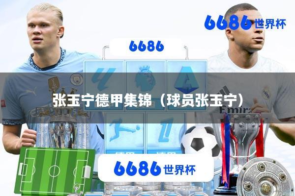 张玉宁德甲集锦(球员张玉宁)