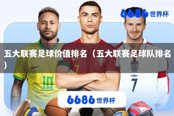 五大联赛足球价值排名(五大联赛足球队排名)